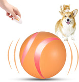 PELOTAS INALAMBRICAS PARA MASCOTAS