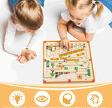 Laberinto Pro Magnetico